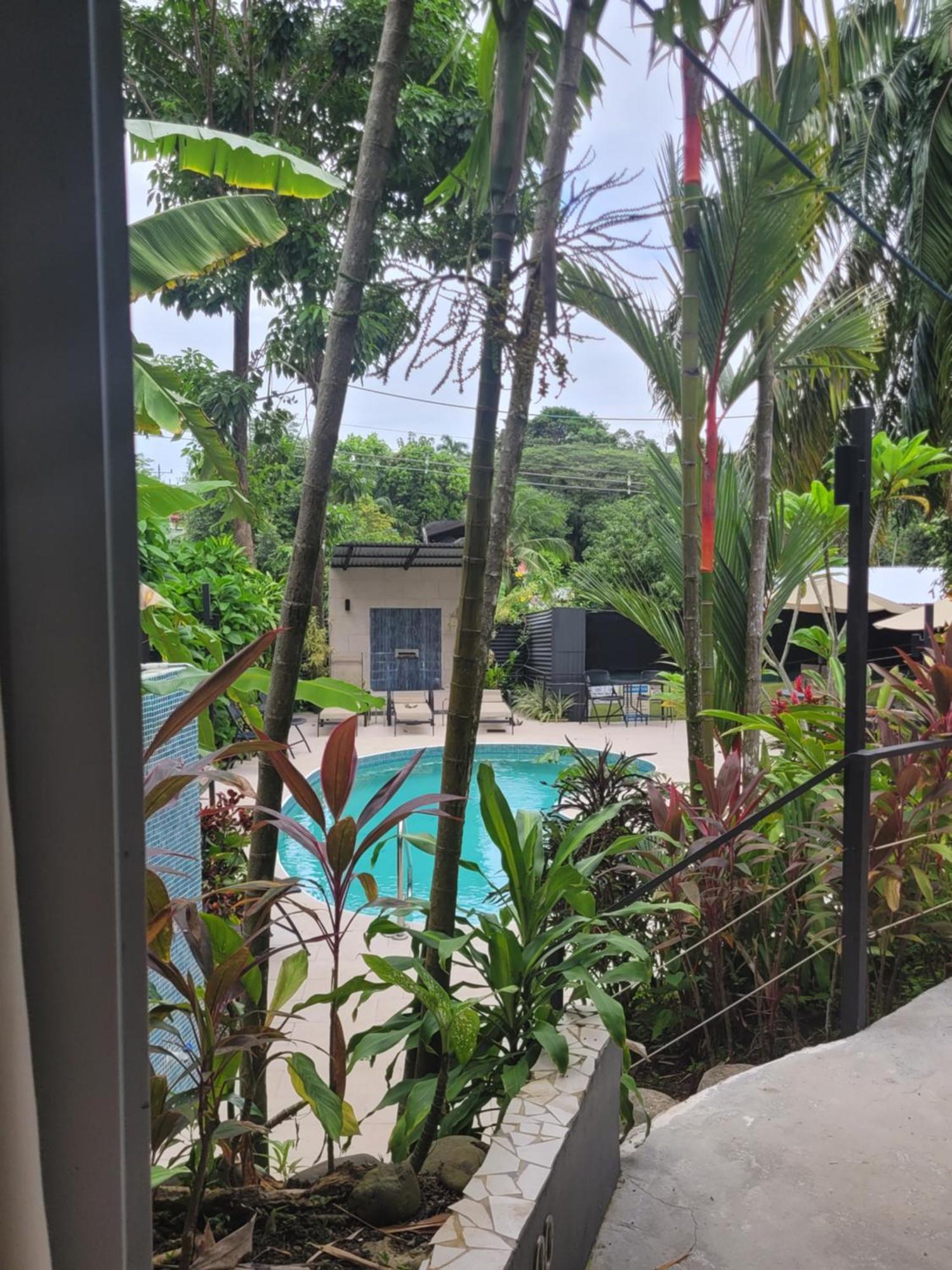 Tico Tico Villas - Adult Only Manuel Antonio Extérieur photo