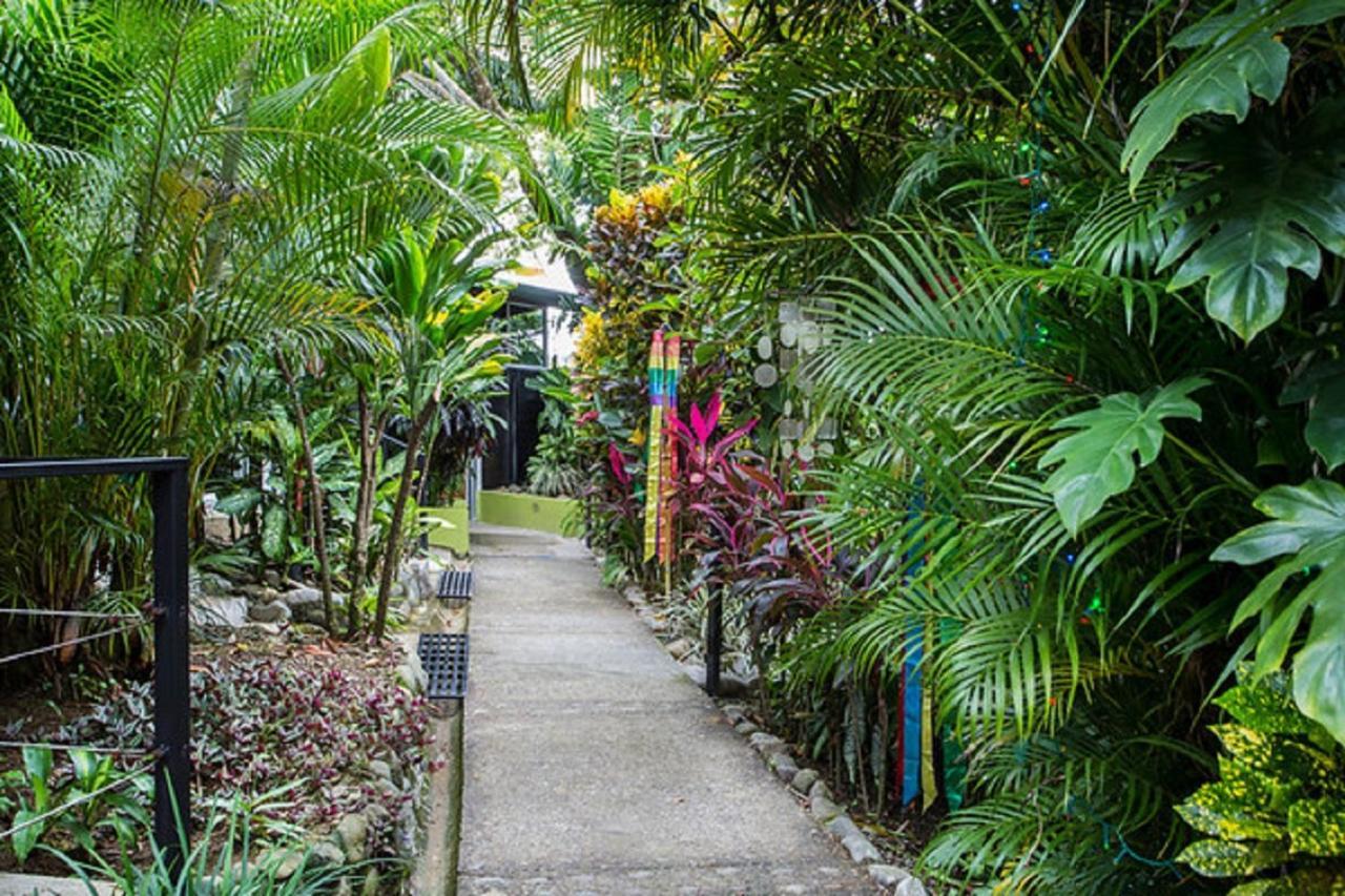 Tico Tico Villas - Adult Only Manuel Antonio Extérieur photo